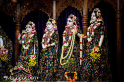 Daily Darshan