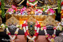 Daily Darshan