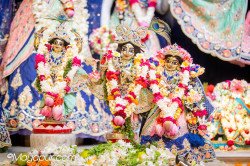 Daily Darshan