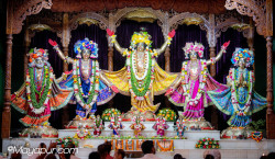 Daily Darshan