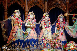Daily Darshan