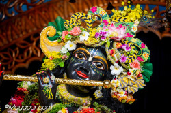 Daily Darshan