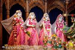 Daily Darshan