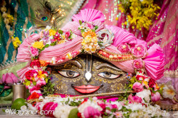 Daily Darshan