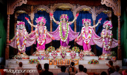 Daily Darshan