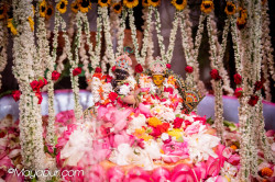 Daily Darshan
