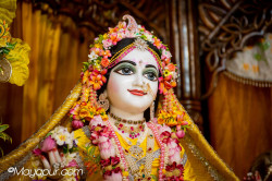 Daily Darshan