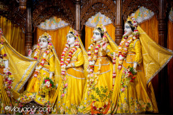 Daily Darshan