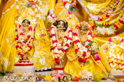 Daily Darshan