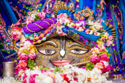 Daily Darshan