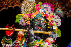 Daily Darshan