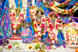 Daily Darshan