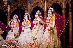 Daily Darshan