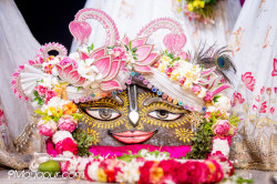 Daily Darshan