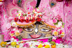 Daily Darshan