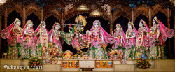 Daily Darshan