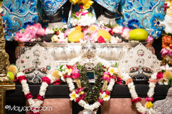 Daily Darshan
