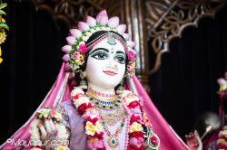 Daily Darshan
