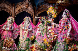 Daily Darshan