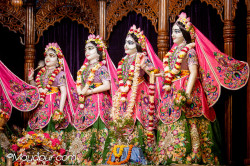 Daily Darshan