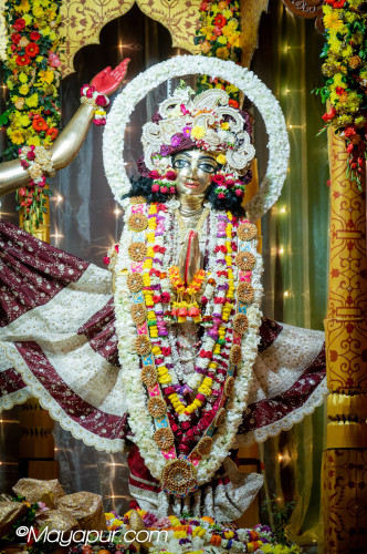 Daily Darshan