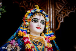 Daily Darshan