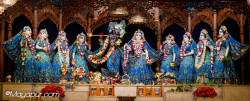 Daily Darshan
