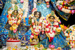 Daily Darshan