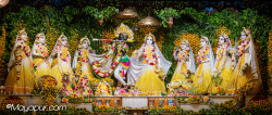Daily Darshan
