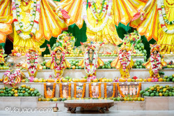 Daily Darshan