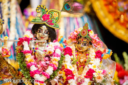 Daily Darshan