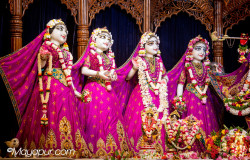 Daily Darshan