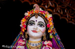 Daily Darshan