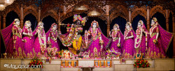 Daily Darshan