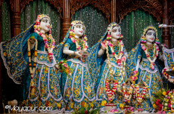 Daily Darshan