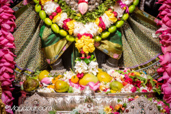 Daily Darshan