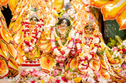 Daily Darshan
