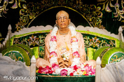 Daily Darshan