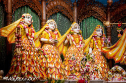 Daily Darshan