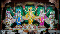 Daily Darshan
