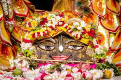 Daily Darshan