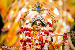 Daily Darshan