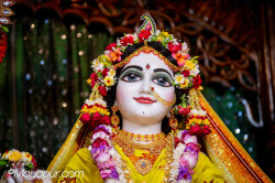 Daily Darshan