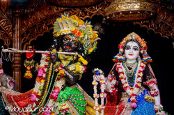 Daily Darshan