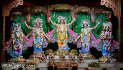 Daily Darshan
