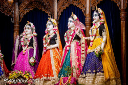 Daily Darshan