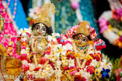 Daily Darshan