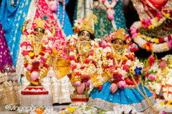 Daily Darshan