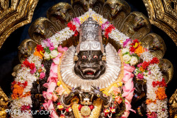Daily Darshan