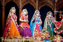Daily Darshan